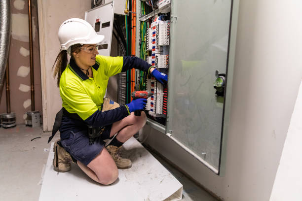 Best Electric Panel Repair  in Orange Beach, AL